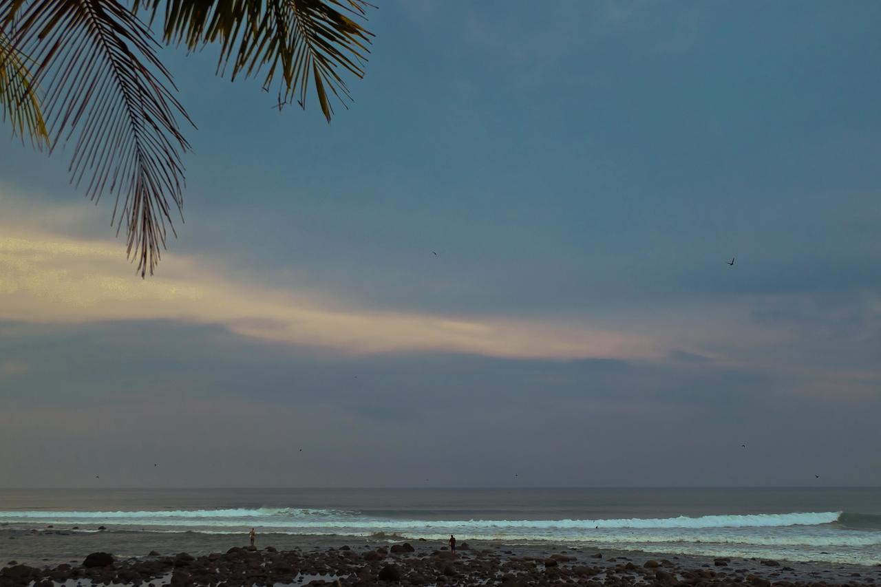 Umadewi Surf & Retreat Otel Pulukan Dış mekan fotoğraf